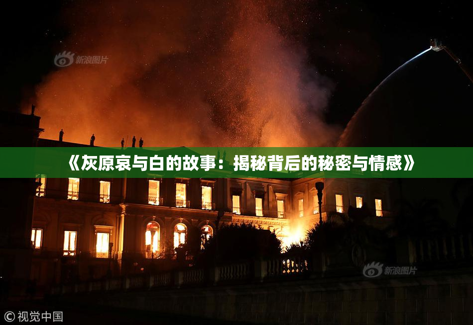 《灰原哀与白的故事：揭秘背后的秘密与情感》