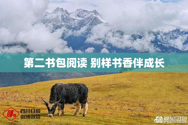 第二书包阅读 别样书香伴成长