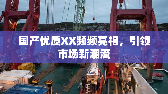 国产优质XX频频亮相，引领市场新潮流