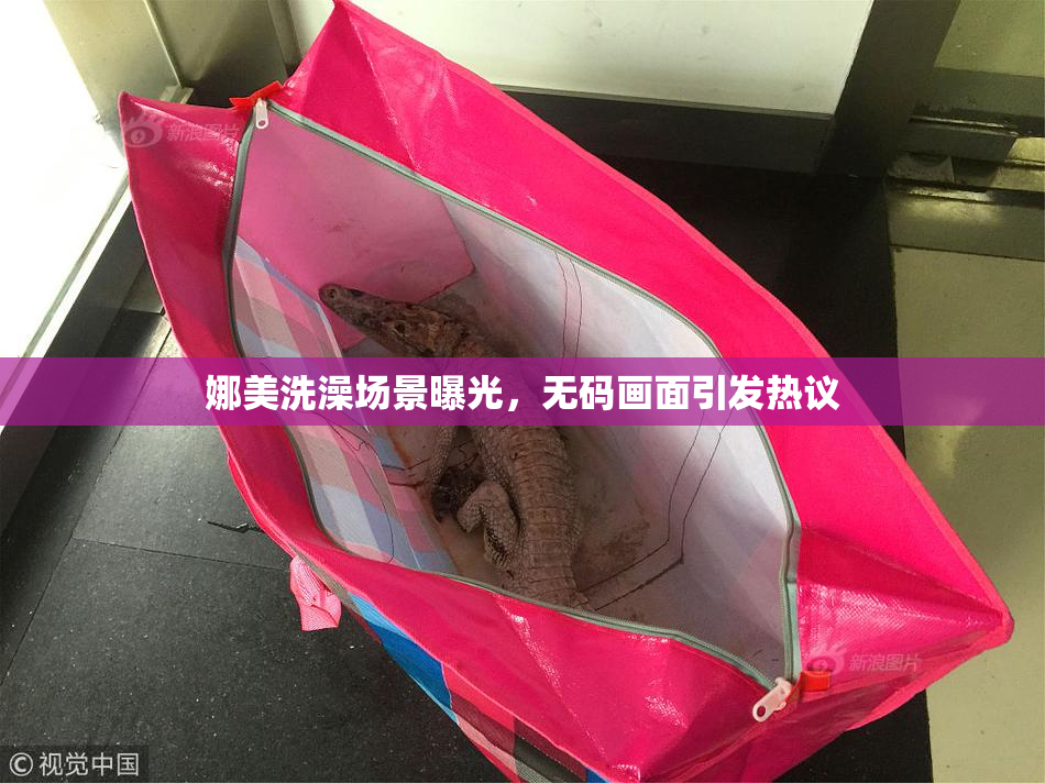 娜美洗澡场景曝光，无码画面引发热议