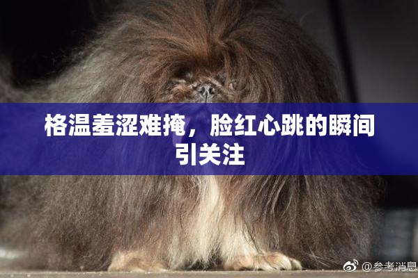 格温羞涩难掩，脸红心跳的瞬间引关注