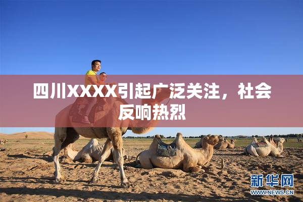 四川XXXX引起广泛关注，社会反响热烈