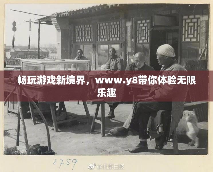 畅玩游戏新境界，www.y8带你体验无限乐趣