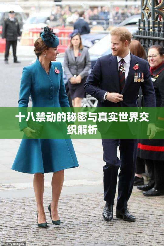 十八禁动的秘密与真实世界交织解析
