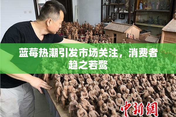 蓝莓热潮引发市场关注，消费者趋之若鹜
