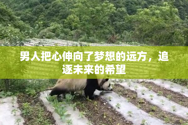 男人把心伸向了梦想的远方，追逐未来的希望
