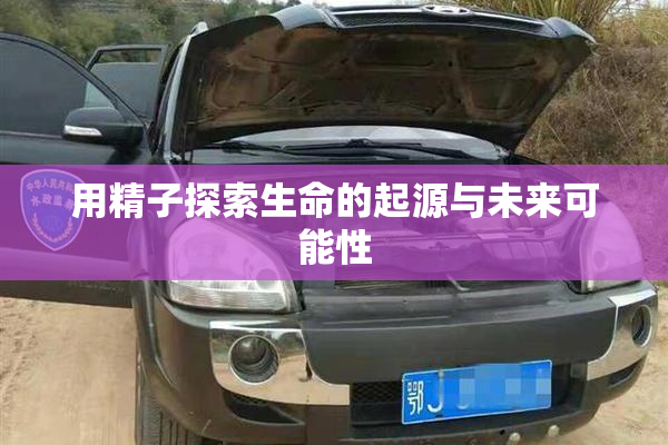 用精子探索生命的起源与未来可能性