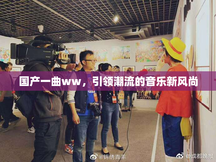 国产一曲ww，引领潮流的音乐新风尚