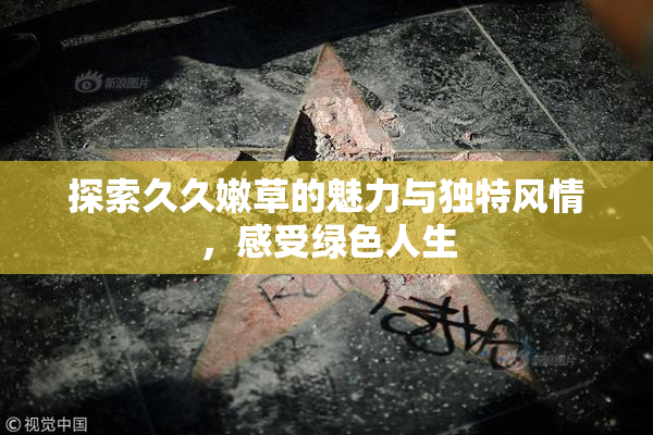 探索久久嫩草的魅力与独特风情，感受绿色人生