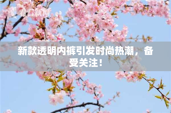 新款透明内裤引发时尚热潮，备受关注！