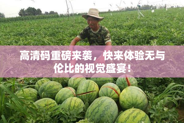 高清码重磅来袭，快来体验无与伦比的视觉盛宴！