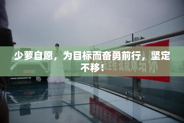 少萝自愿，为目标而奋勇前行，坚定不移！