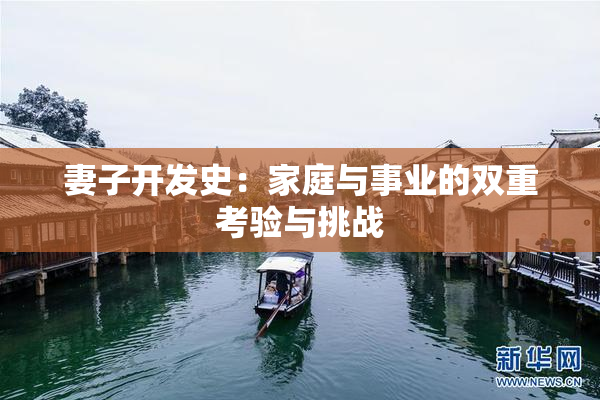 妻子开发史：家庭与事业的双重考验与挑战