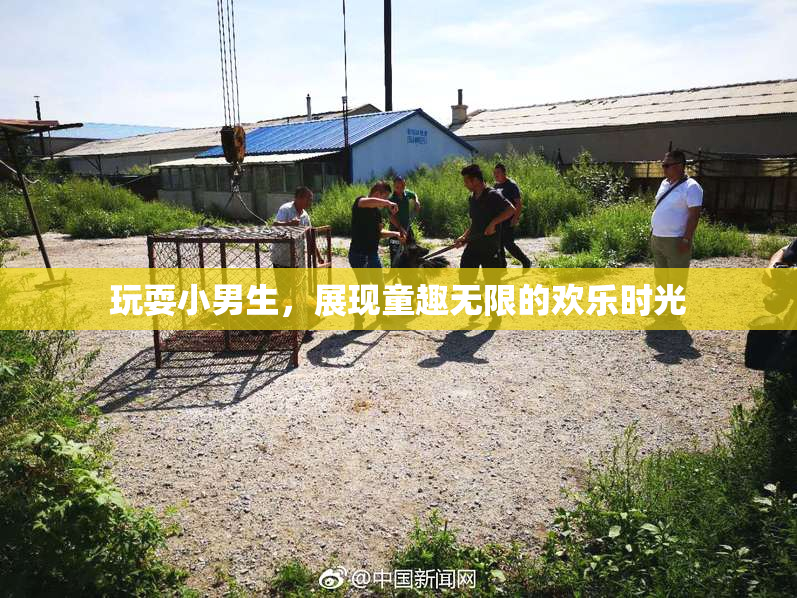玩耍小男生，展现童趣无限的欢乐时光