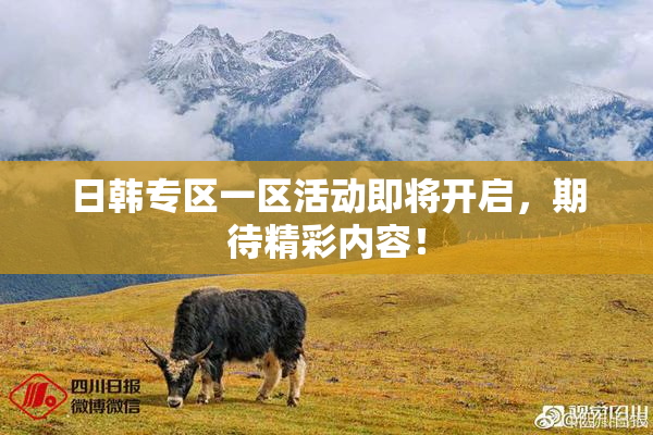 日韩专区一区活动即将开启，期待精彩内容！