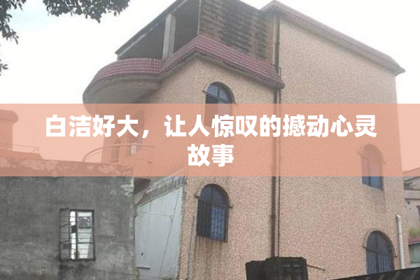 白洁好大，让人惊叹的撼动心灵故事