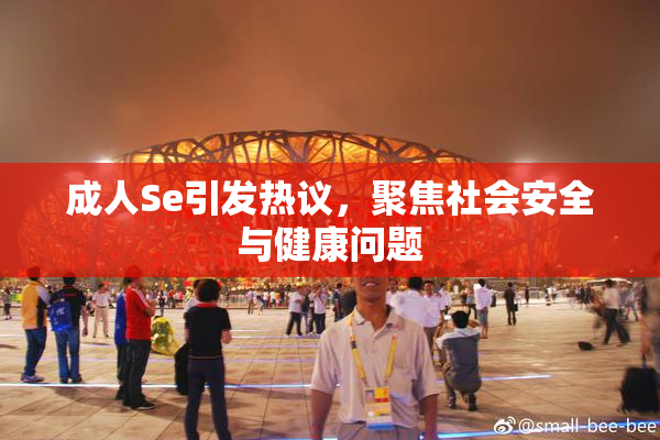成人Se引发热议，聚焦社会安全与健康问题