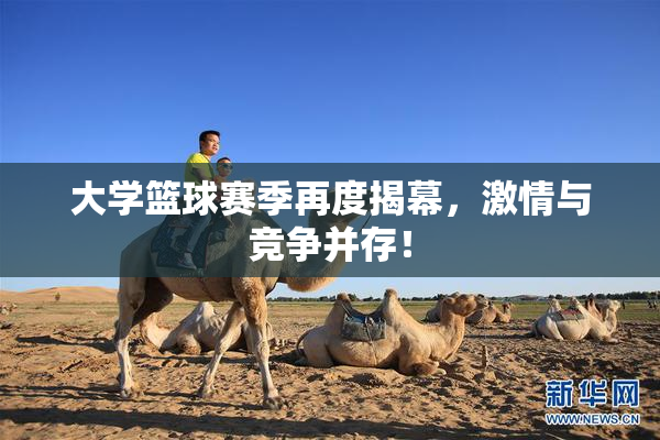 大学篮球赛季再度揭幕，激情与竞争并存！