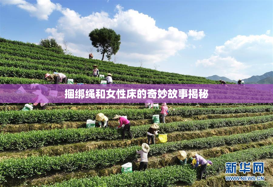 捆绑绳和女性床的奇妙故事揭秘