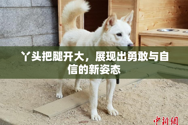 丫头把腿开大，展现出勇敢与自信的新姿态