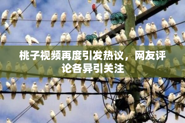 桃子视频再度引发热议，网友评论各异引关注
