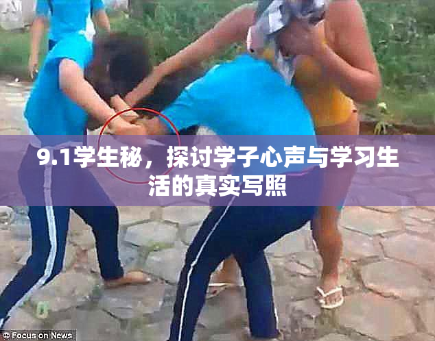 9.1学生秘，探讨学子心声与学习生活的真实写照