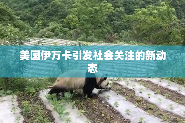 美国伊万卡引发社会关注的新动态