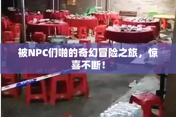 被NPC们啪的奇幻冒险之旅，惊喜不断！