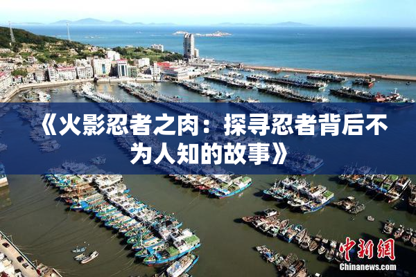 《火影忍者之肉：探寻忍者背后不为人知的故事》