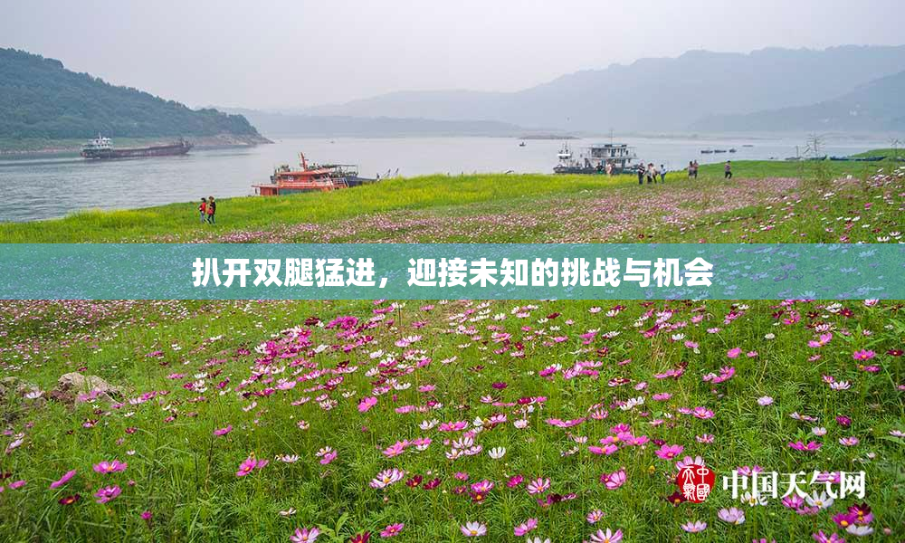 扒开双腿猛进，迎接未知的挑战与机会