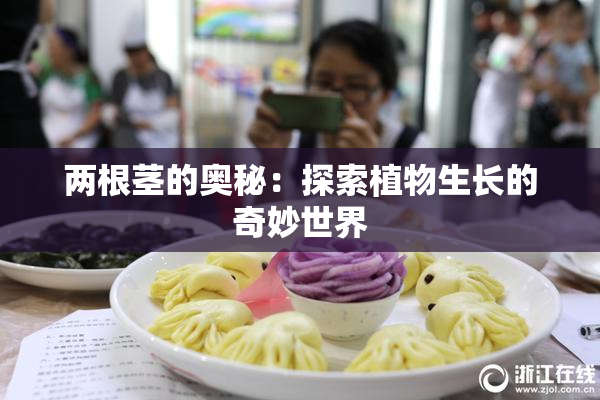 两根茎的奥秘：探索植物生长的奇妙世界