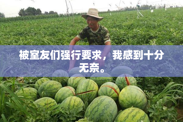 被室友们强行要求，我感到十分无奈。