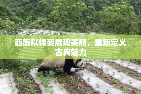 西施以裸姿展现美丽，重新定义古典魅力