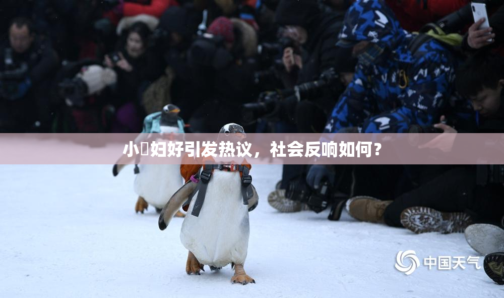 小婬妇好引发热议，社会反响如何？