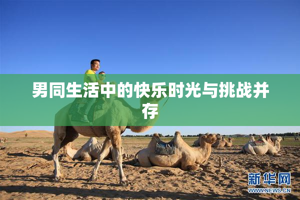 男同生活中的快乐时光与挑战并存