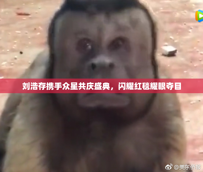 刘浩存携手众星共庆盛典，闪耀红毯耀眼夺目