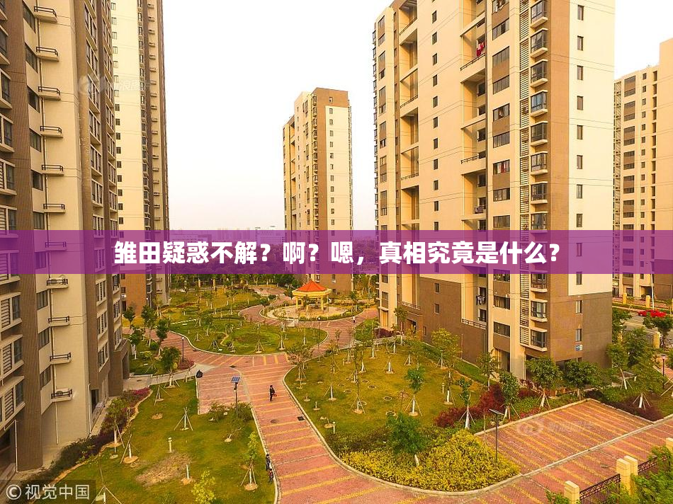 雏田疑惑不解？啊？嗯，真相究竟是什么？