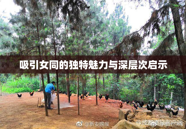 吸引女同的独特魅力与深层次启示