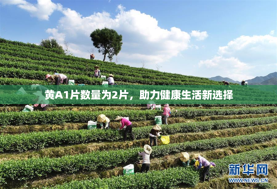黄A1片数量为2片，助力健康生活新选择