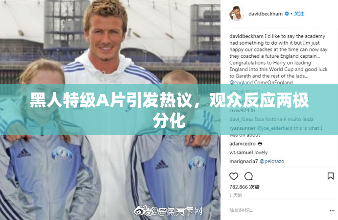 黑人特级A片引发热议，观众反应两极分化