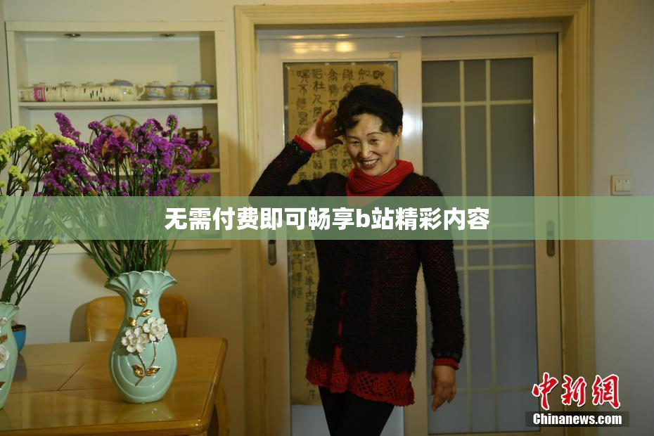 无需付费即可畅享b站精彩内容