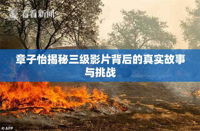 章子怡揭秘三级影片背后的真实故事与挑战