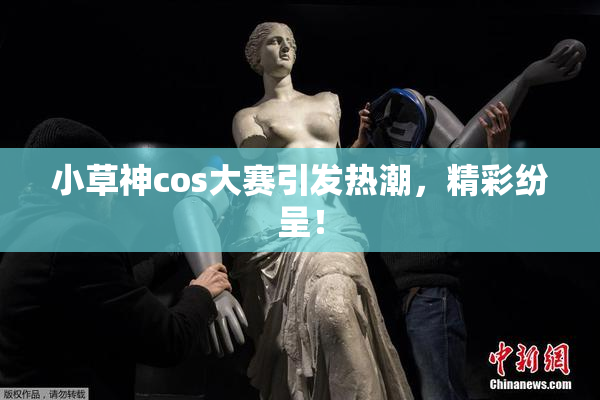 小草神cos大赛引发热潮，精彩纷呈！