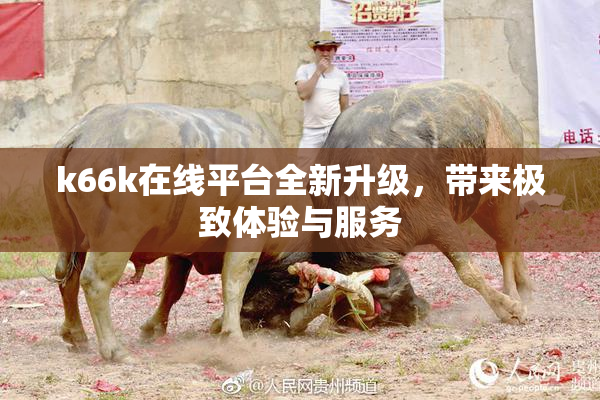 k66k在线平台全新升级，带来极致体验与服务