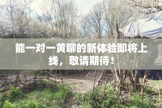 能一对一黄聊的新体验即将上线，敬请期待！