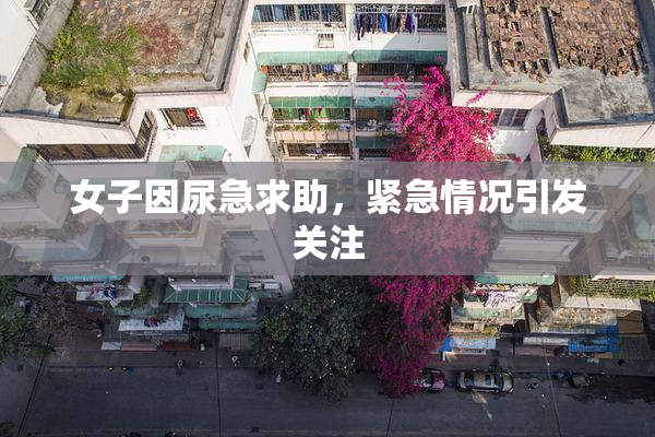 女子因尿急求助，紧急情况引发关注