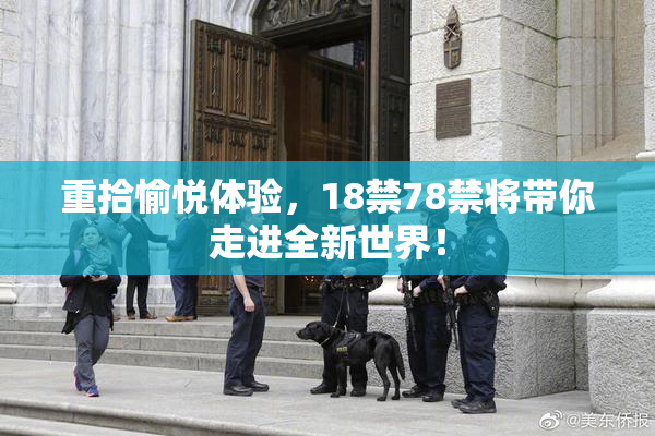 重拾愉悦体验，18禁78禁将带你走进全新世界！