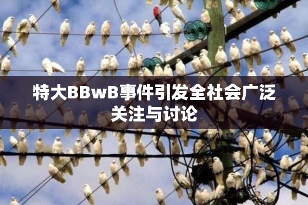 特大BBwB事件引发全社会广泛关注与讨论