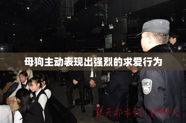 母狗主动表现出强烈的求爱行为