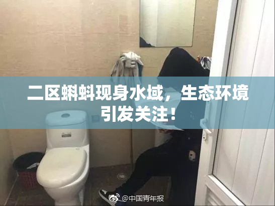 二区蝌蚪现身水域，生态环境引发关注！